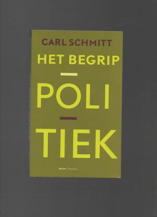 Het begrip politiek