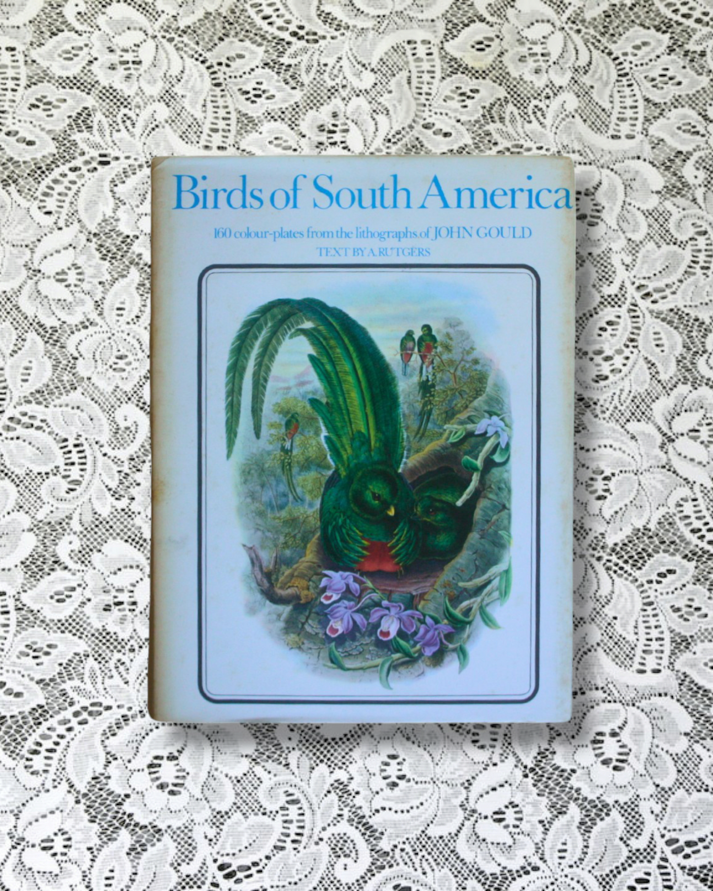 Birds of South America