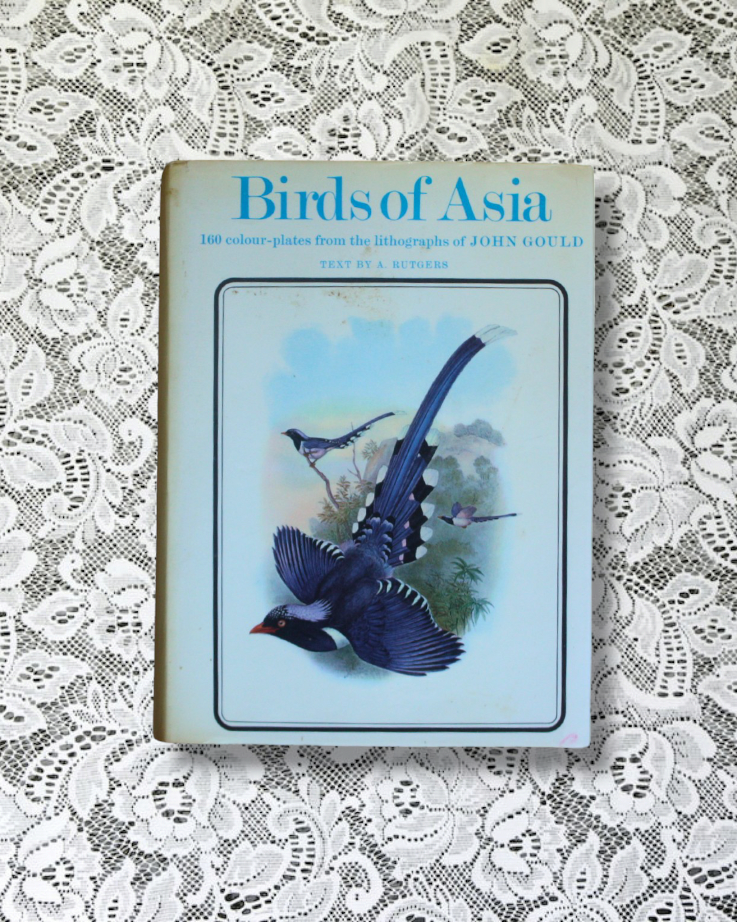 Birds of Asia